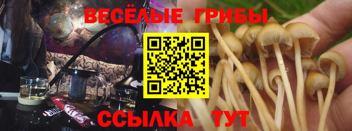 Феодосия  Галлюциногенные грибы Cubensis  Вход с VPN 